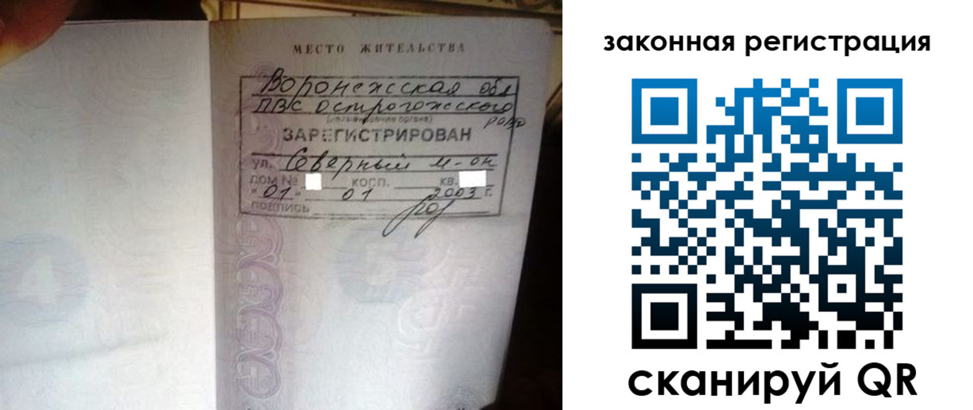 прописка поиск в Сафоново